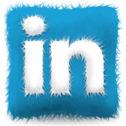 furry-cushion-linkedin